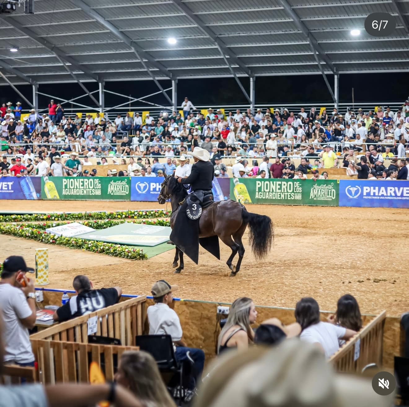 Exposición Nacional Equina — Bucaramanga 2026