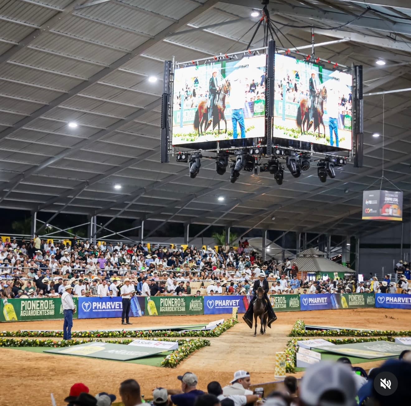 Exposición Nacional Equina — Bucaramanga 2026 6