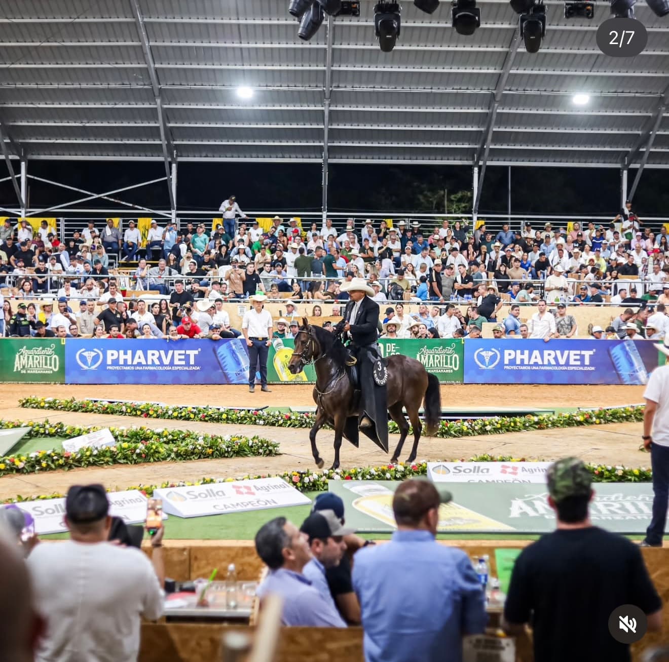 Exposición Nacional Equina — Bucaramanga 2026 7