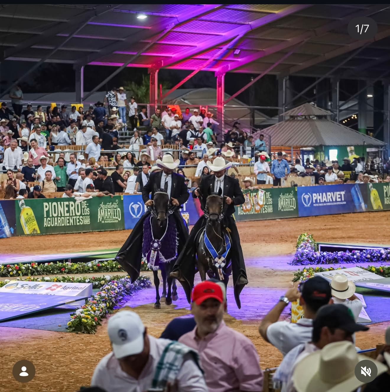 Exposición Nacional Equina — Bucaramanga 2026 8
